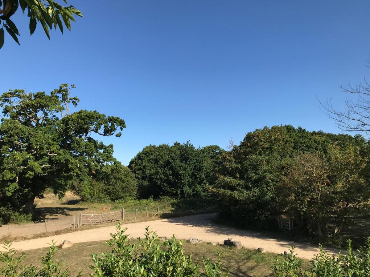 Warsash Meadowview Lodge מראה חיצוני תמונה